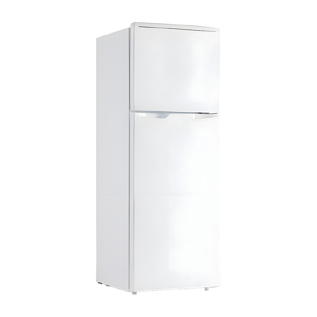 09-1 ثلاجة دانسات